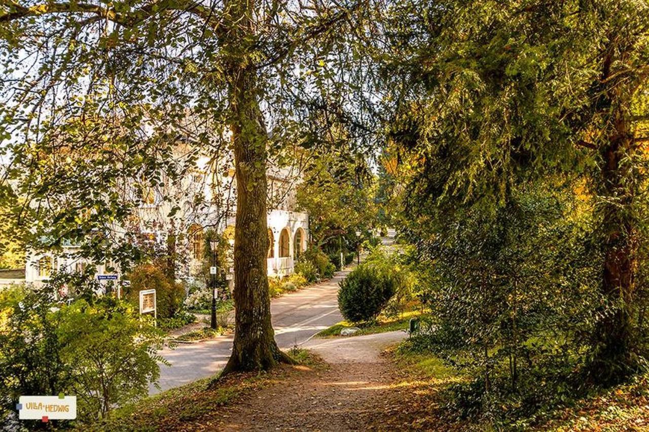 Villa Hedwig Баденвайлер Екстер'єр фото
